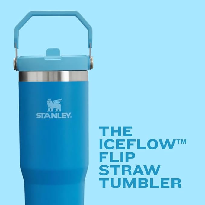 STANLEY IceFlow Flip Straw Tumbler with Handle 20 oz | Twist On Lid and Flip Up Straw | Leak Resistant Water Bottle | Insulated Stainless Steel |BPA-Free | Polar
