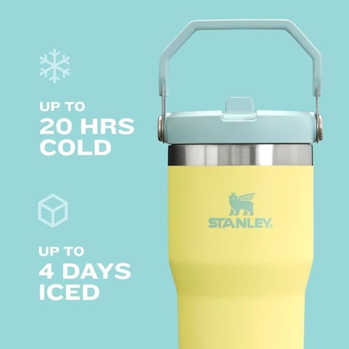 STANLEY IceFlow 2.0 Flip Straw Tumbler with Handle 30 oz | Twist On Lid and Flip Up Straw | Leak Resistant Water Bottle | Insulated Stainless Steel | BPA-Free | Dew Drop