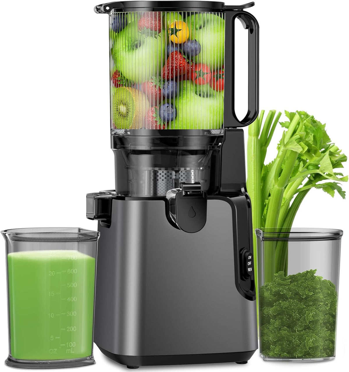 Juicer Machines with 5.8" Large Feed Chute, Cold Press Juicer For Whole Vegetables and Fruits, 400W Professional Slow Masticating juicer Easy to Clean for Batch Juicing (Titanium Gray)