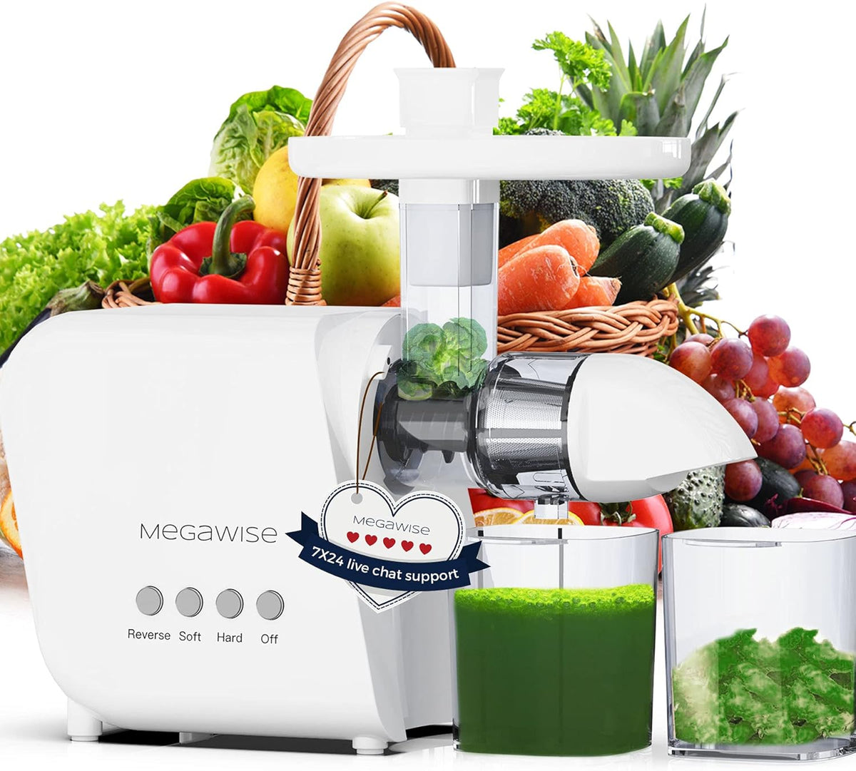 MegaWise Pro 2025 Updated Slow Masticating Juicer, 95% Juice Yield, 2-Speed & 9-Segment Spiral Cold Press, for Vegetables Fruits Nuts, Enhanced Nutrition Better Taste